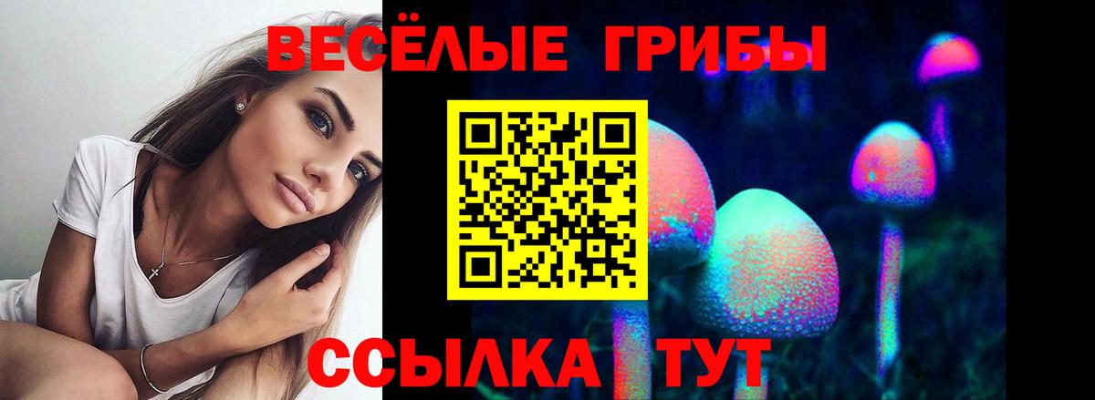 Псилоцибиновые грибы MAGIC MUSHROOMS  Галлюциногенные грибы Cubensis  Вход с VPN  Бирск 